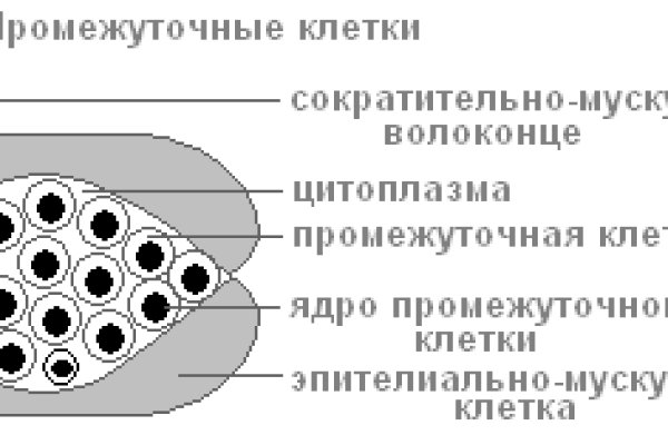 Не получается зайти на кракен