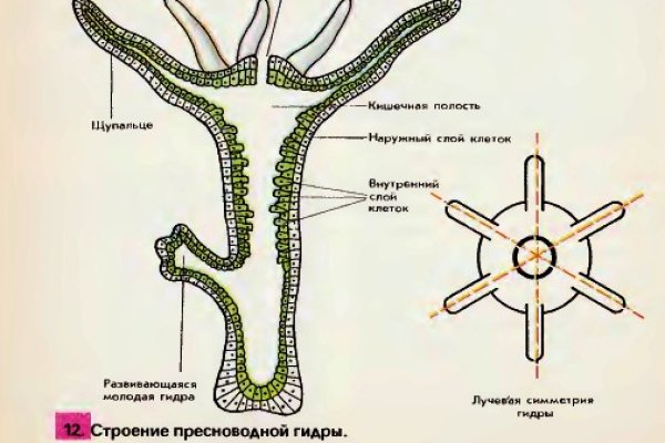 Кракен даркнет регистрация